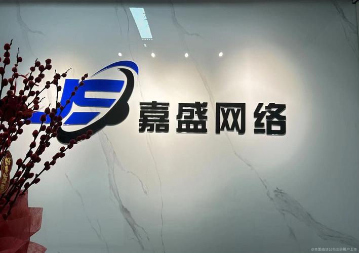 嘉盛网络 深耕金融科技服务，引领信息技术与流程外包新篇章