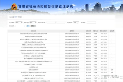 学党史办实事 平凉消防教你如何如何查询消防技术服务机构